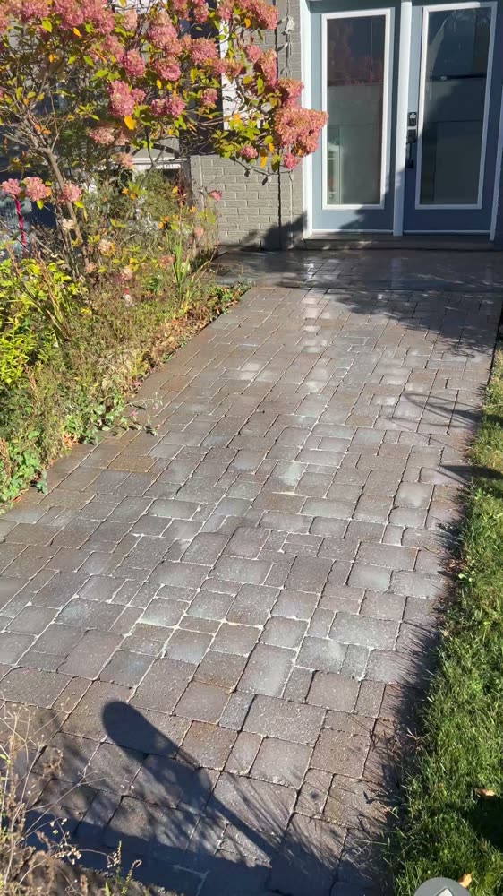 Petite allée en pavé uni nettoyée, joints pleins, scellant en train de sécher, après les travaux