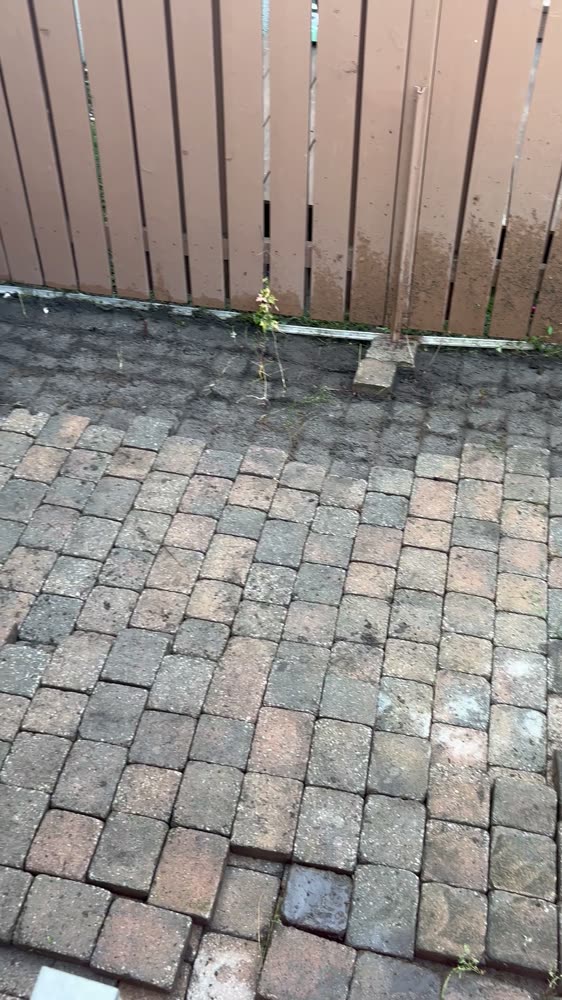 Terrasse en pavé uni à Hull dont les rangées ont levé le long d'une clôture, base à découvert, avant les travaux