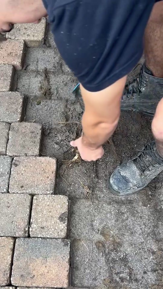 A weed root pulled out by hand between lifted pavers